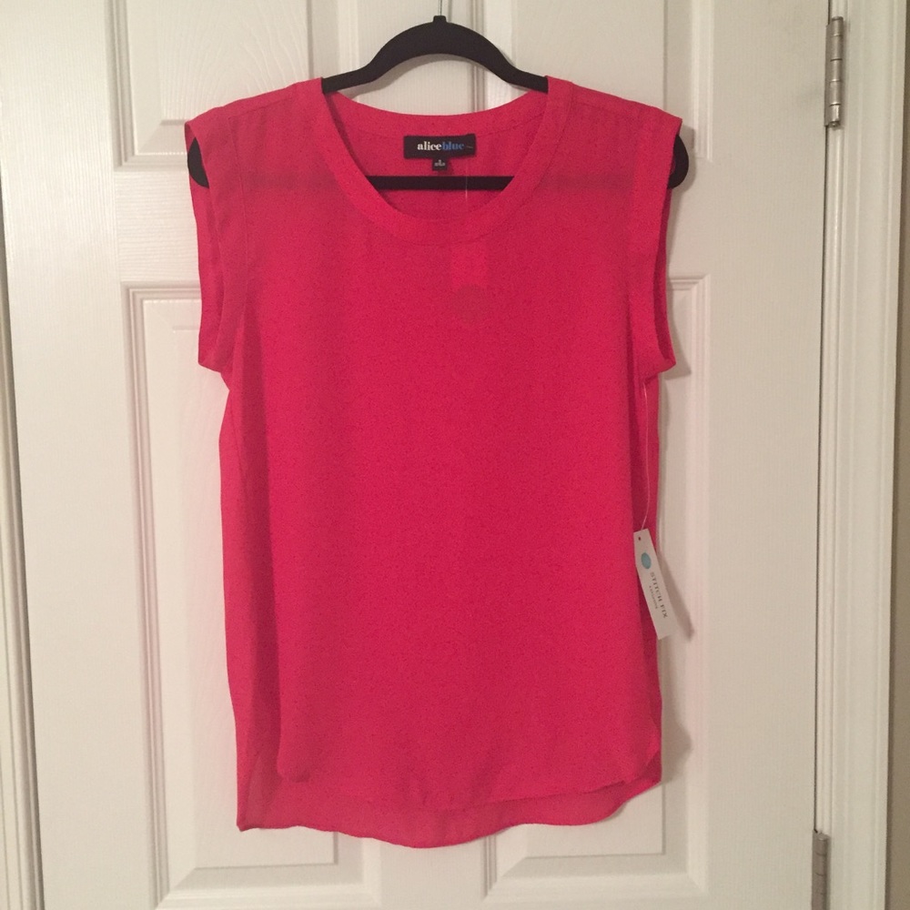 Alice Blue crew neck blouse